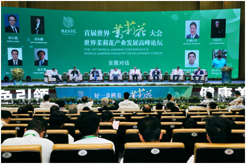 广西横县被授予“世界茉莉花都”称号(图3)