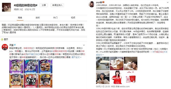 天猫神奇动物正当红 瞄准宠物经济赋能千亿市场(图7)