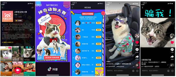 天猫神奇动物正当红 瞄准宠物经济赋能千亿市场(图8)