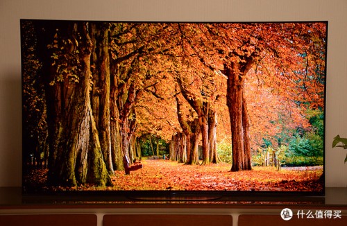 在家看球一样有现场体验 OLED电视就是这么神!(图1)