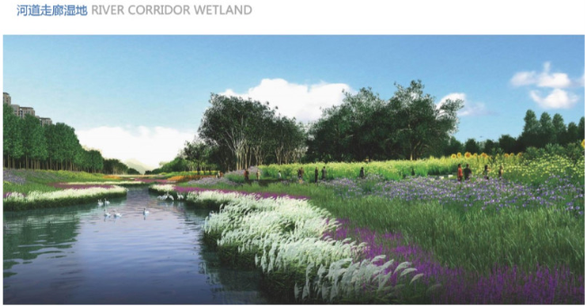 中信环境技术在雄安新区中标首个流域生态治理EPC项目(图3)