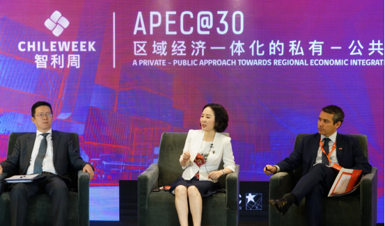 敦煌网王树彤受邀出席“智利周” 中国电商助推智利中小企业转型(图2)