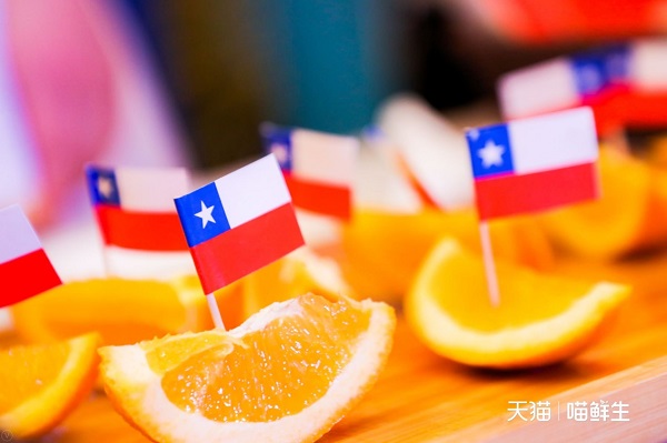 千呼万唤！继新西兰后，智利国家旗舰店上线，上百款智利商品即将进驻天猫(图4)