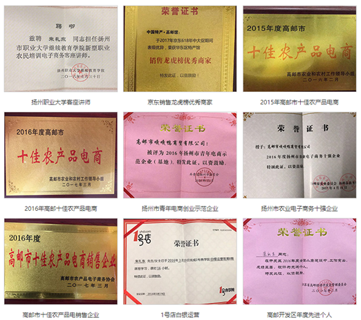 嘎嘎鸭商贸有限公司:“公司+电商+产业” 全面助力农产品上行(图4) 嘎嘎鸭商贸有限公司:“公司+电商+产业” 全面助力农产品上行(图4)